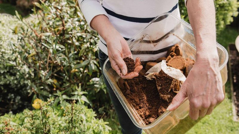 Coffee Grounds Spread Easily Over Mounds Coffee Grounds Spread Easily Over Mounds