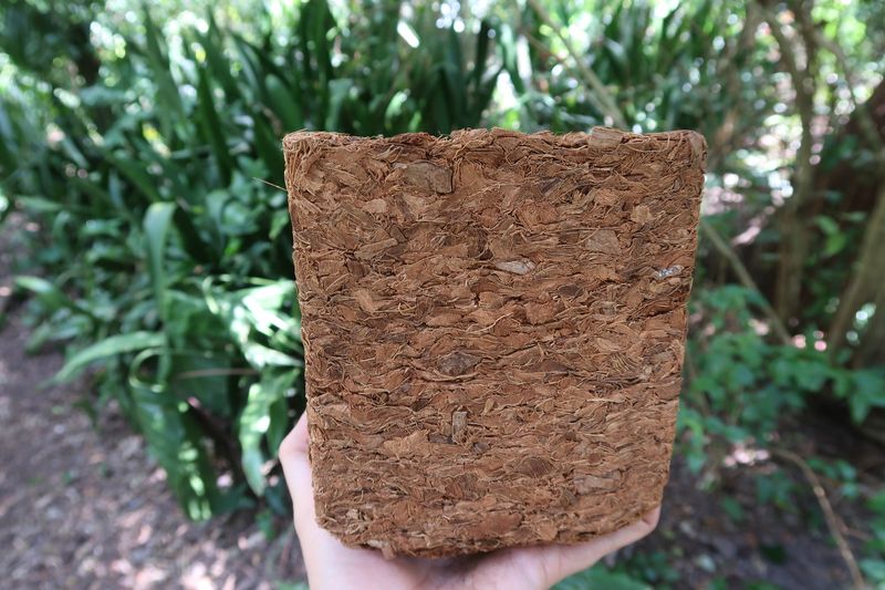 Coir Can Stand In For Peat Moss