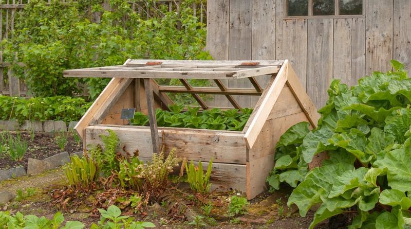 Cold Frames Should Be Built And Ready