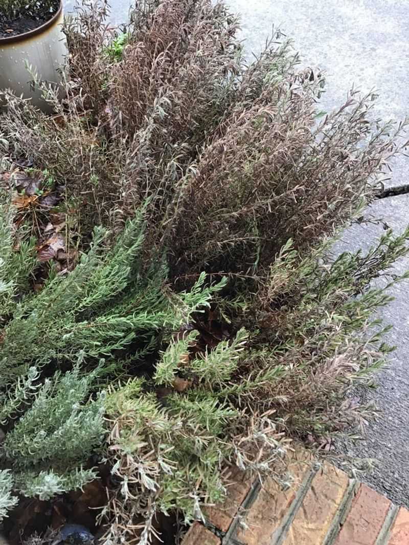Cold Weather Often Gets Blamed For Problems Wet Soil Causes