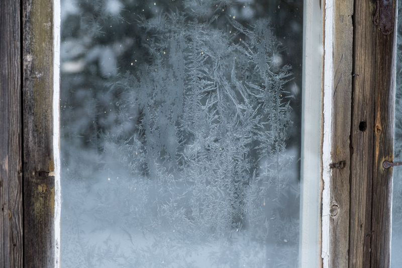 Cold Window Glass Chills The Leaves