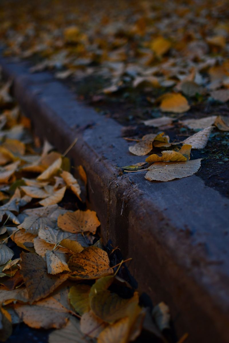 Collect Neighborhood Leaf Bags On The Curb