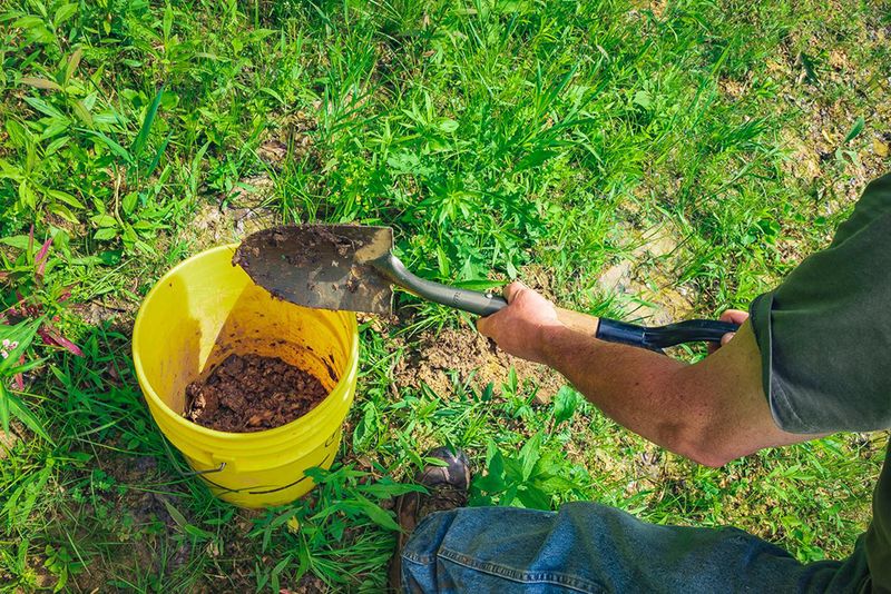 Collect Several Soil Samples For More Reliable Results