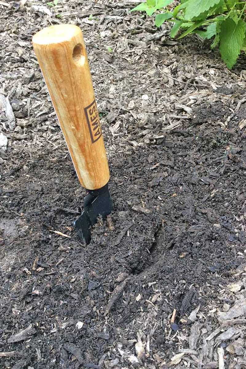 Collecting A Few Scoops Of Soil Now Can Guide Next Spring