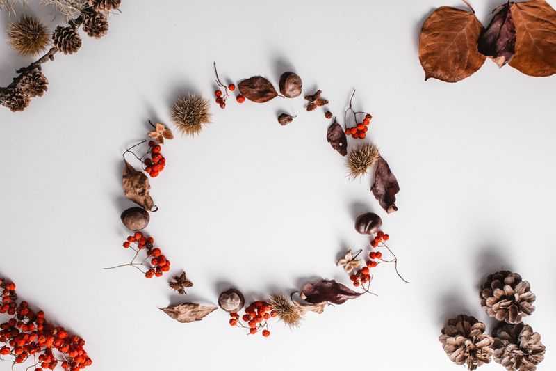 Colorful Leaves And Seed Pods Turned Into Natural Wreaths Colorful Leaves And Seed Pods Turned Into Natural Wreaths