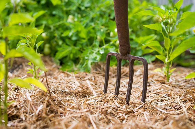 Combining Compost With Mulch For Even Better Results In California