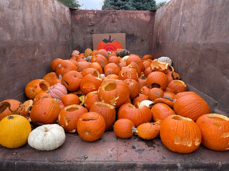Community Pumpkin Smash Events Make Recycling A Party