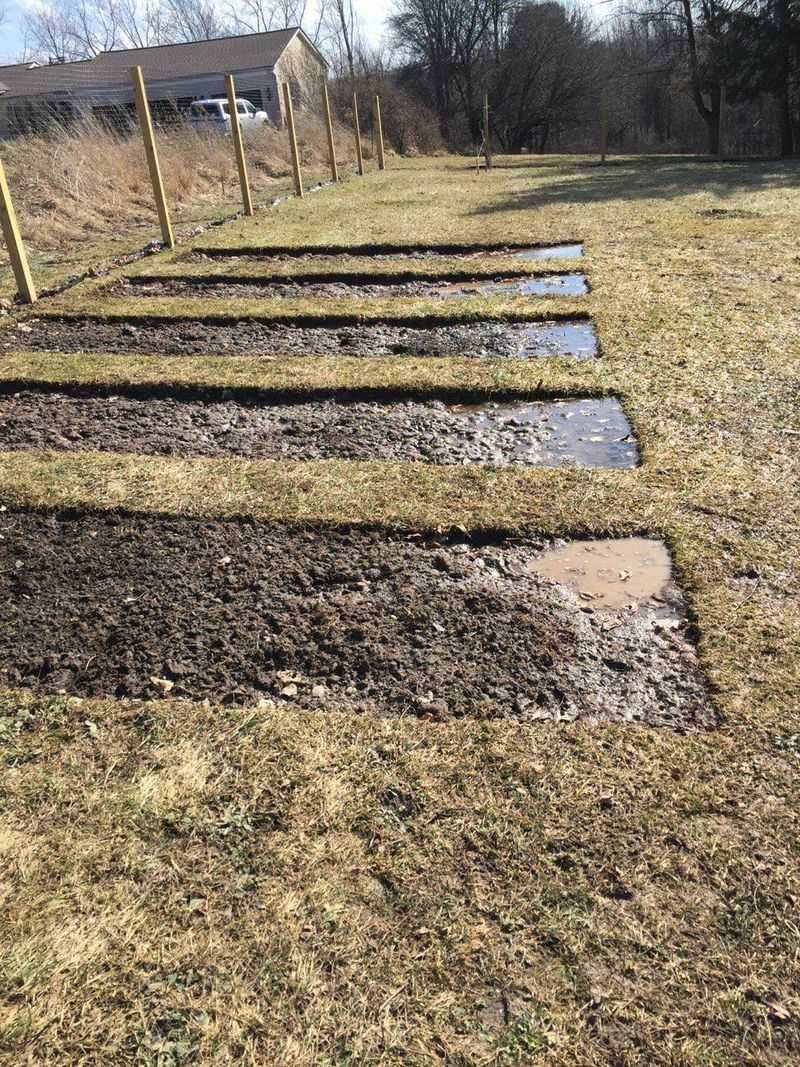 Compacted Edge Soil Needs Loosening Compacted Edge Soil Needs Loosening