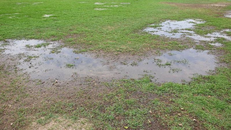 Compacted, Waterlogged Soil Compacted, Waterlogged Soil
