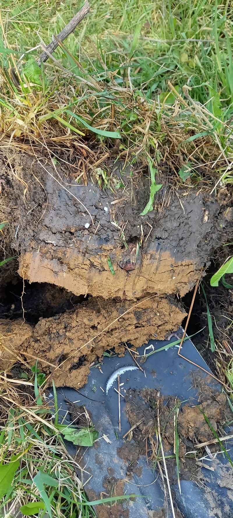 Compost Alone Cannot Open Deep Layers Compost Alone Cannot Open Deep Layers