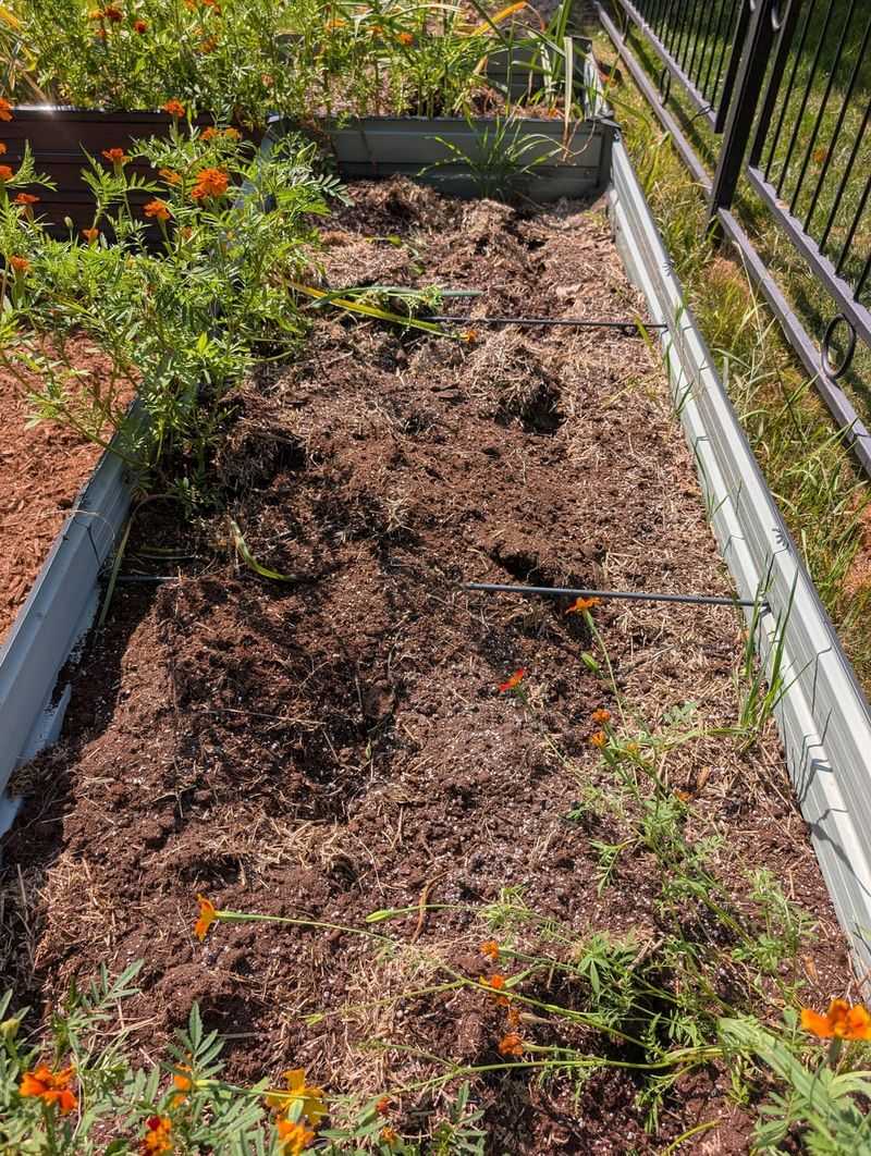 Compost Is The One Amendment That Does It All