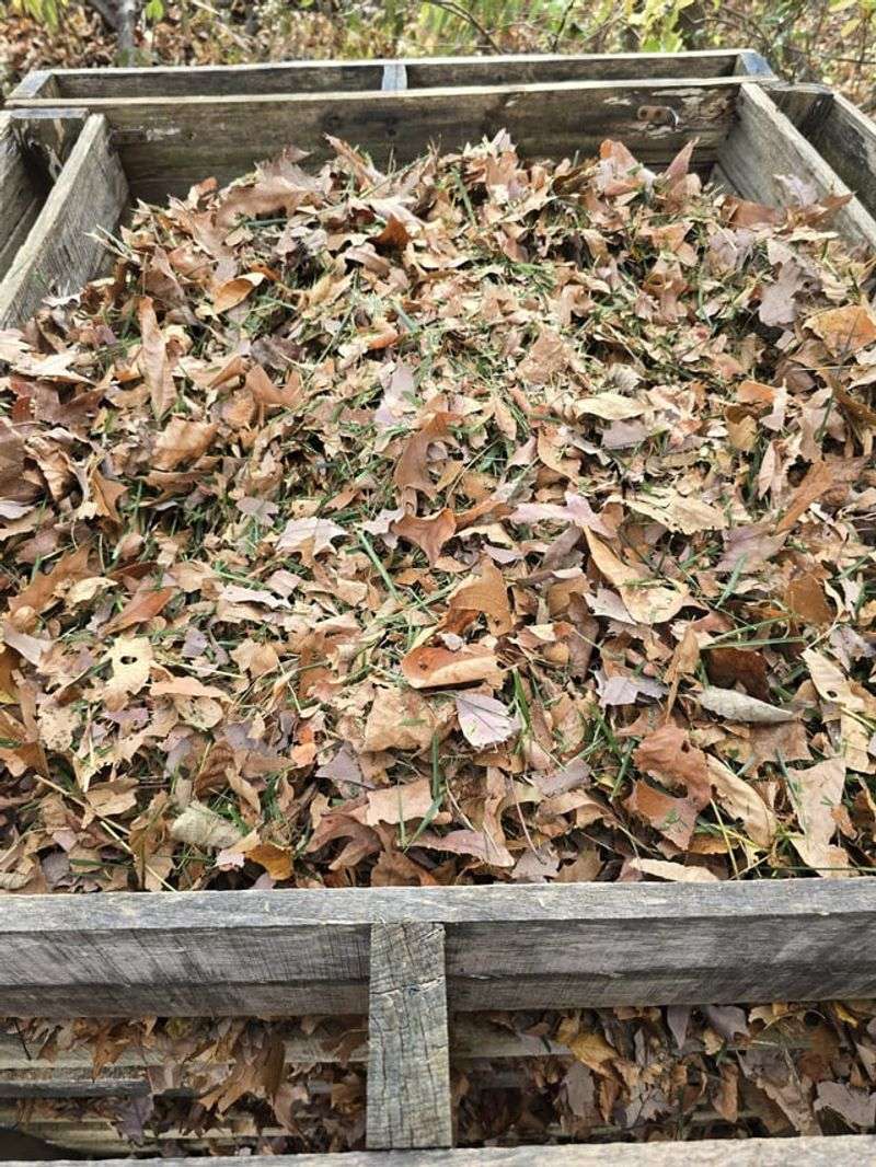 Compost Needs Leaves As Its Brown Material
