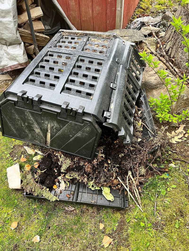 Compost Piles With Food Scraps Lure Them In