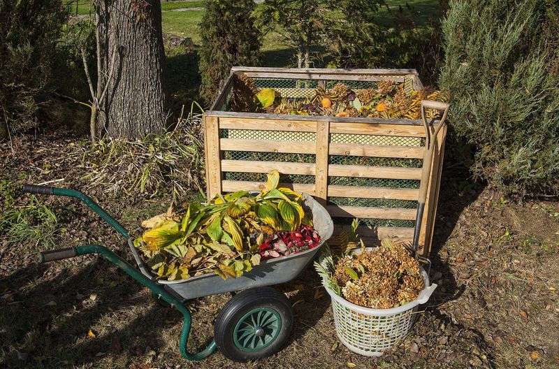 Compost The Remaining Vines After Final Harvest Compost The Remaining Vines After Final Harvest