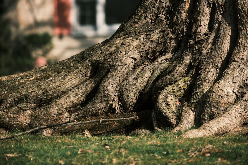 Confirm Local Roots And A Real Business Address Confirm Local Roots And A Real Business Address