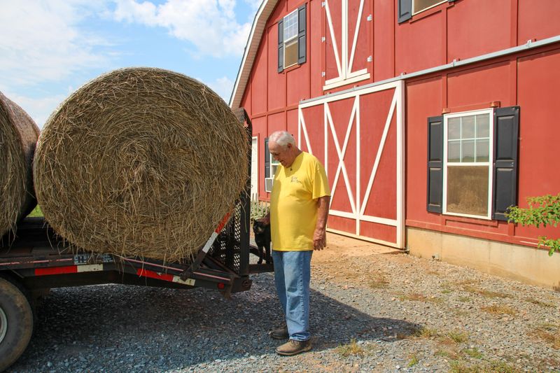 Connect With Local Farmers And Virginia Hay Directories Connect With Local Farmers And Virginia Hay Directories
