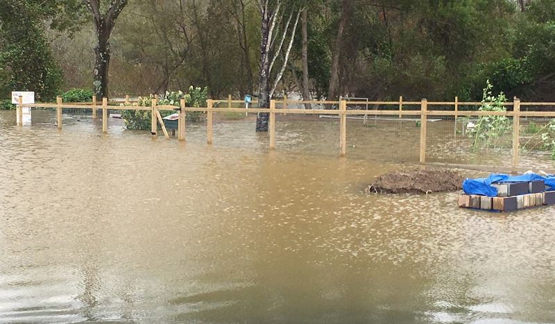 Contaminated Floodwater Sediment Contaminated Floodwater Sediment