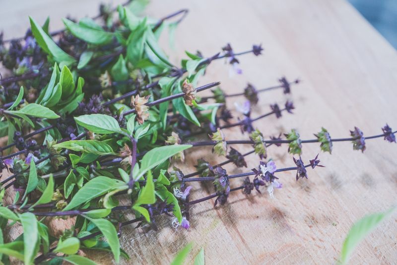 Cook With The Flowers, Not Just The Leaves Cook With The Flowers, Not Just The Leaves