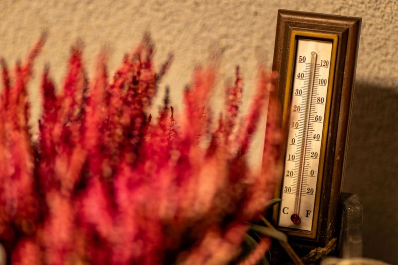 Cool Night Temperatures Matter More Than The Date On Your Calendar