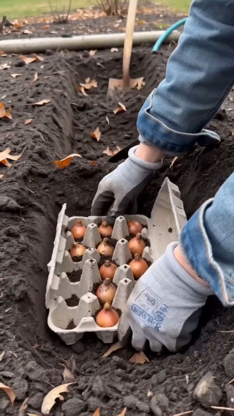 Cool October Soil Builds Stronger Roots Cool October Soil Builds Stronger Roots