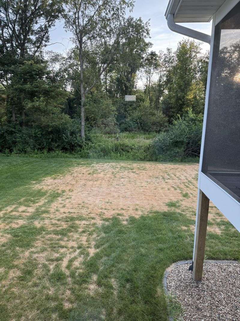 Cool Season Grasses Can Pause For Weeks Cool Season Grasses Can Pause For Weeks