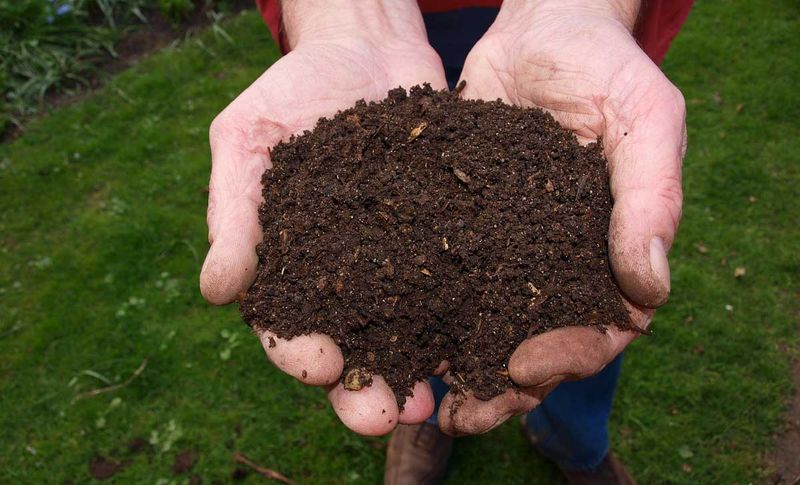 Cool Soil Means Less Water Loss