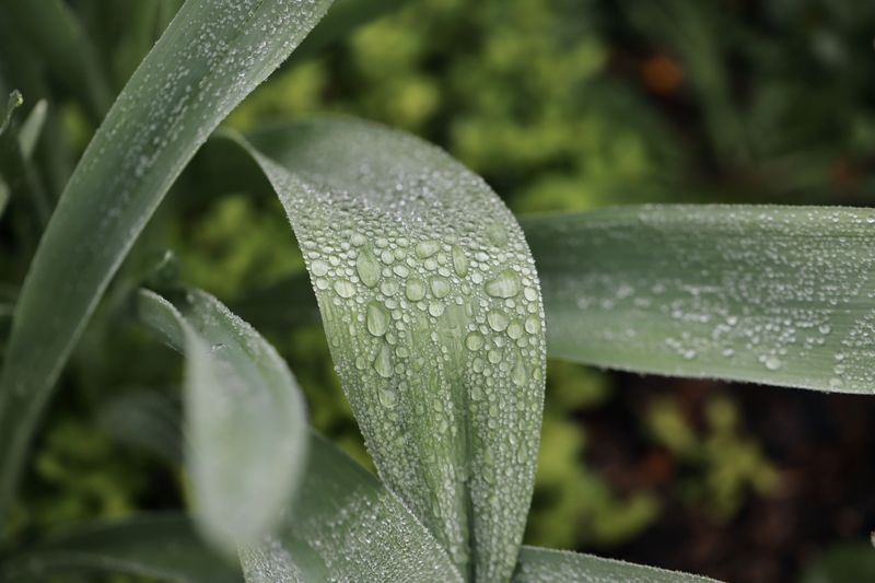 Cooler Temperatures Slow Water Loss