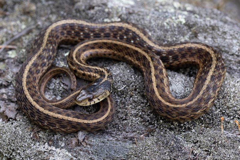 Cooler Weather Makes Protected Shelter Increasingly Important Cooler Weather Makes Protected Shelter Increasingly Important