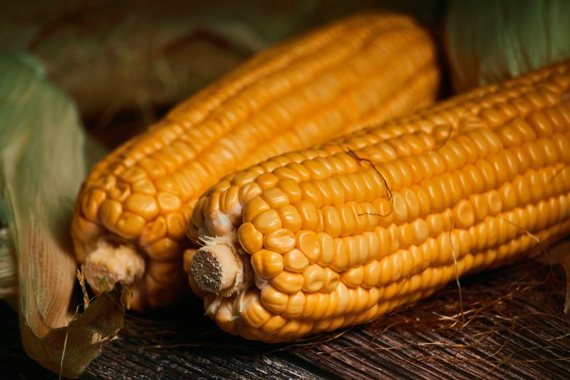 Corn Is The Classic Texas Lure