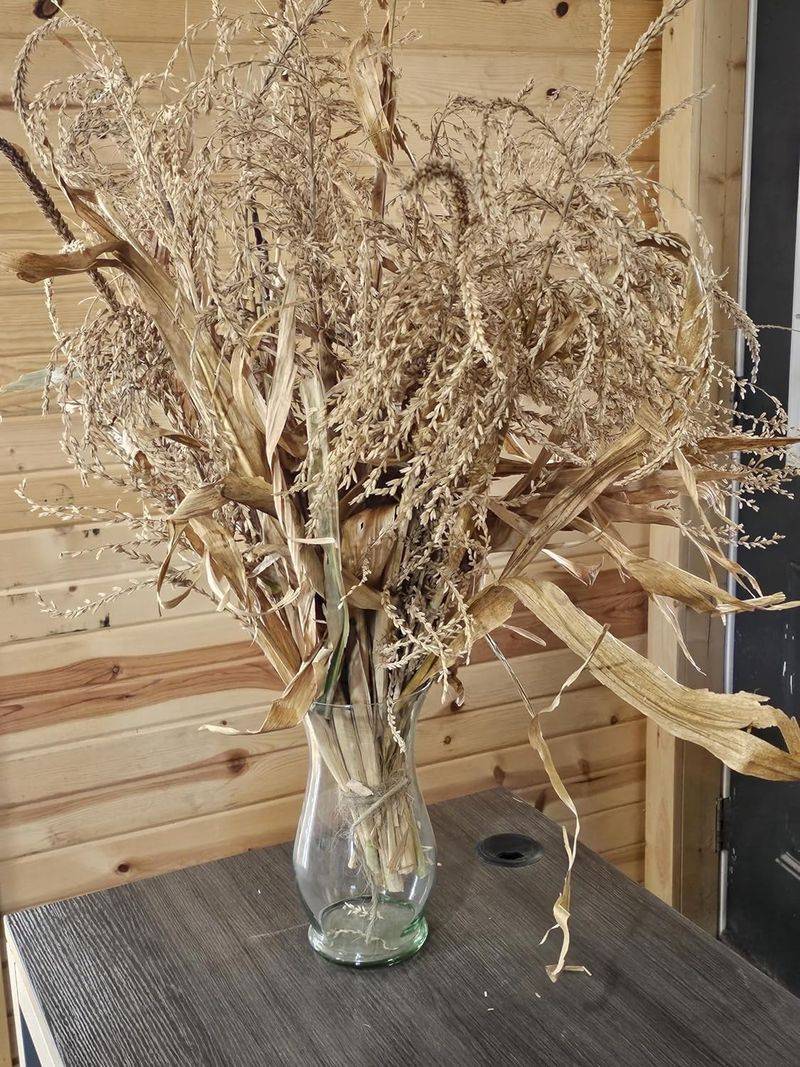 Corn Stalks And Dried Grasses Corn Stalks And Dried Grasses