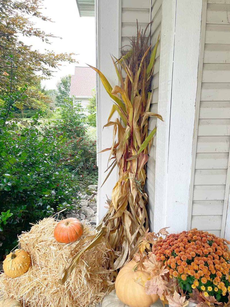 Corn Stalks, Straw Bales, And Grapevine Wreaths Corn Stalks, Straw Bales, And Grapevine Wreaths