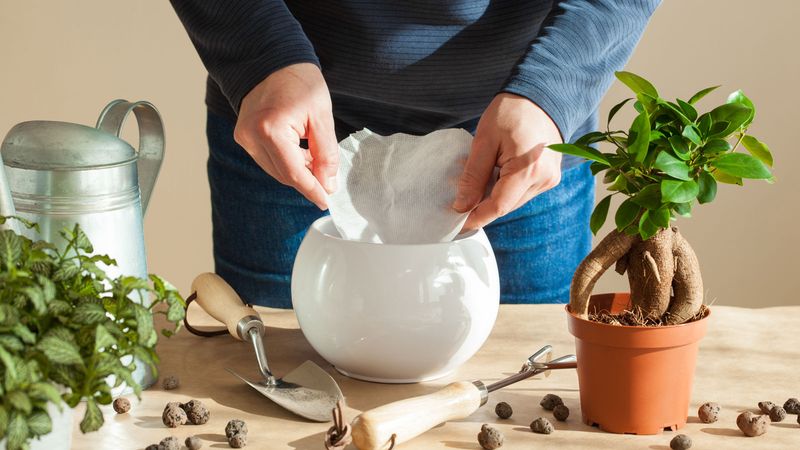 Costs Pennies Compared To Fancy Pot Liners Costs Pennies Compared To Fancy Pot Liners