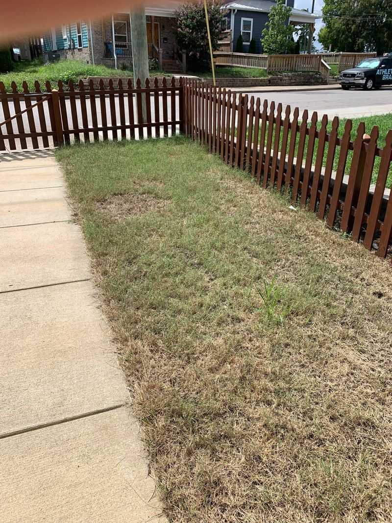 Count What Surfaces Before You Treat