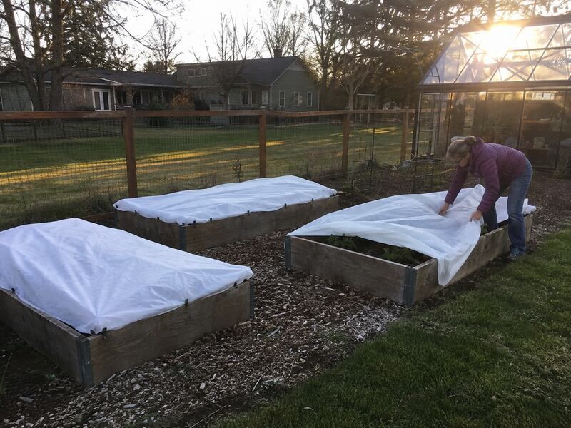 Cover Garden Beds With Frost Cloth