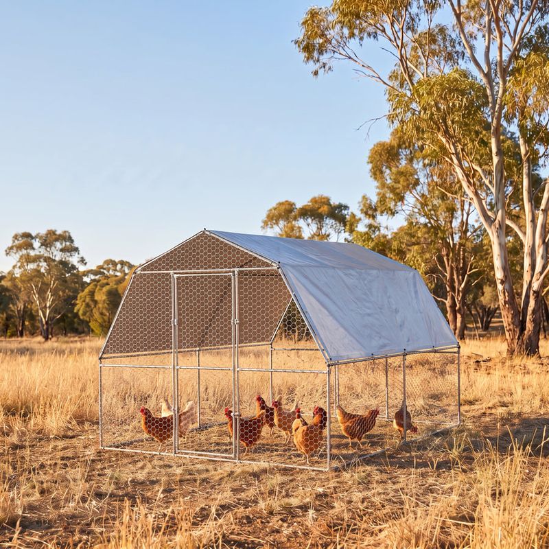 Cover Runs To Block Wild Bird Contact