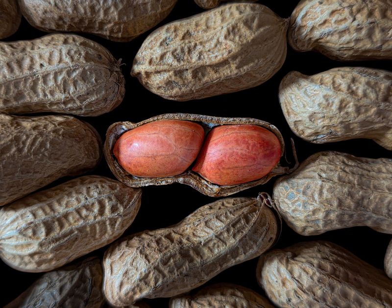 Crack Open A Peanut And Listen For A Dry Crunch