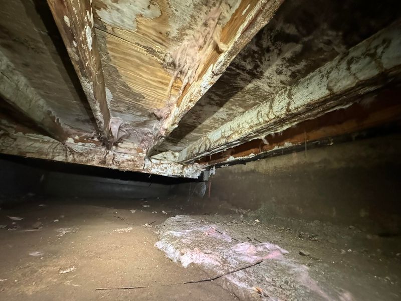 Crawl Space Humidity Deserves A Check