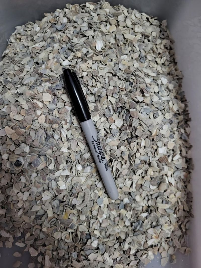 Crushed Shells Work Faster Than Whole Ones Crushed Shells Work Faster Than Whole Ones