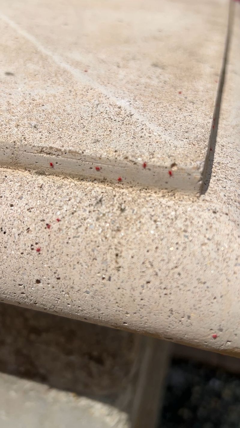 Crushed Specks Can Leave A Reddish Stain On Surfaces