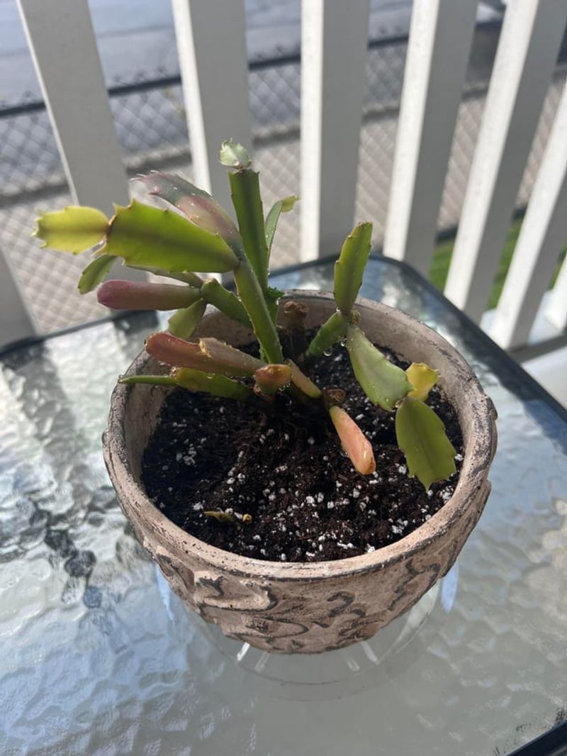 Cut Back On Water, But Never Stop Completely