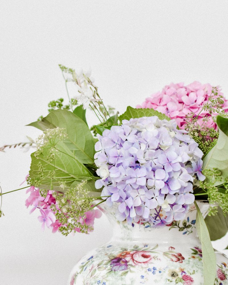 Cut Fresh Blooms For Drying Before Frost Hits