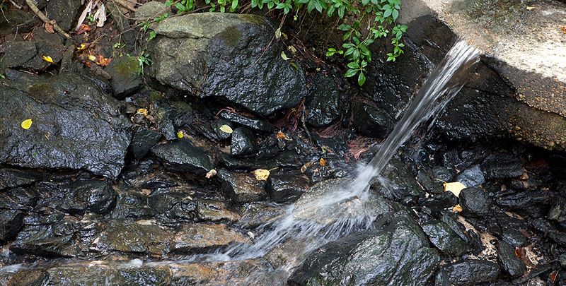 Cutting Back On Fertilizer Protects Local Streams Cutting Back On Fertilizer Protects Local Streams