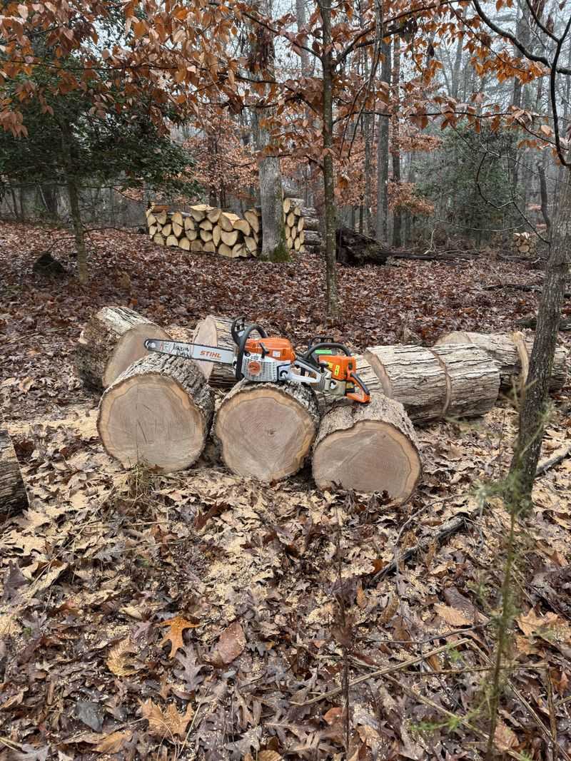 Cutting Your Own Wood? You Need A Self-Issued Certificate