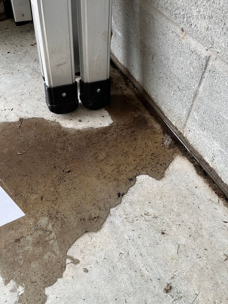 Damp Corners And Leaks Can Make Garages More Inviting