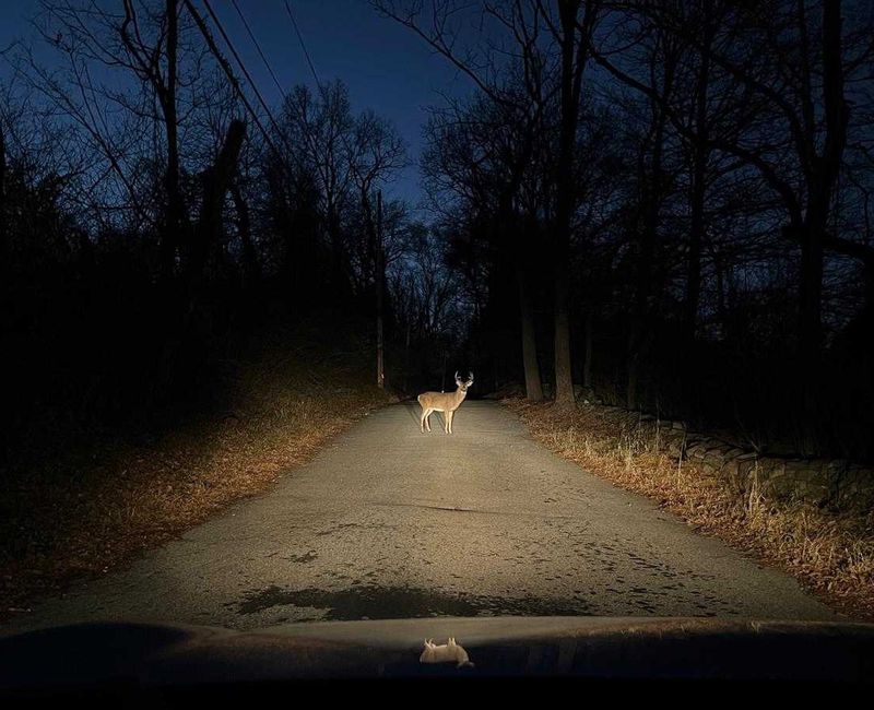 Dawn And Dusk Are Prime Danger Times