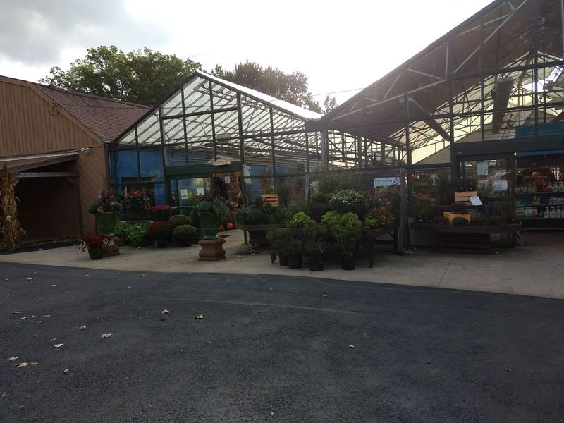 Dean's Greenhouse, Westlake