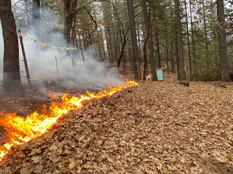 Debris Burning Starts Many Wildfires Debris Burning Starts Many Wildfires