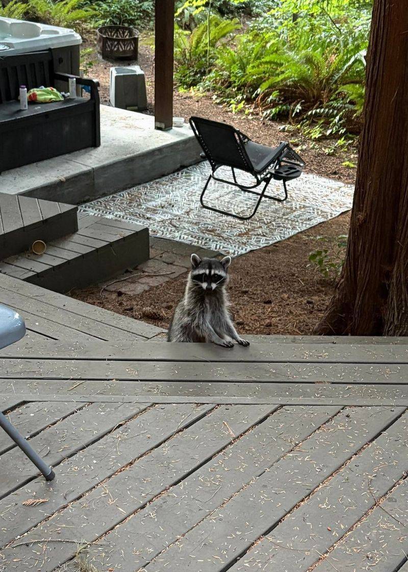 Decks And Sheds Offer Easy Shelter