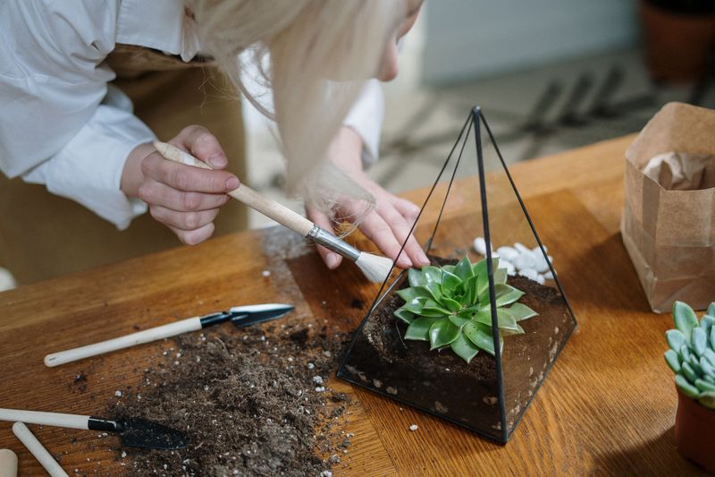 Decorate With Stones, Moss, And Tiny Figures