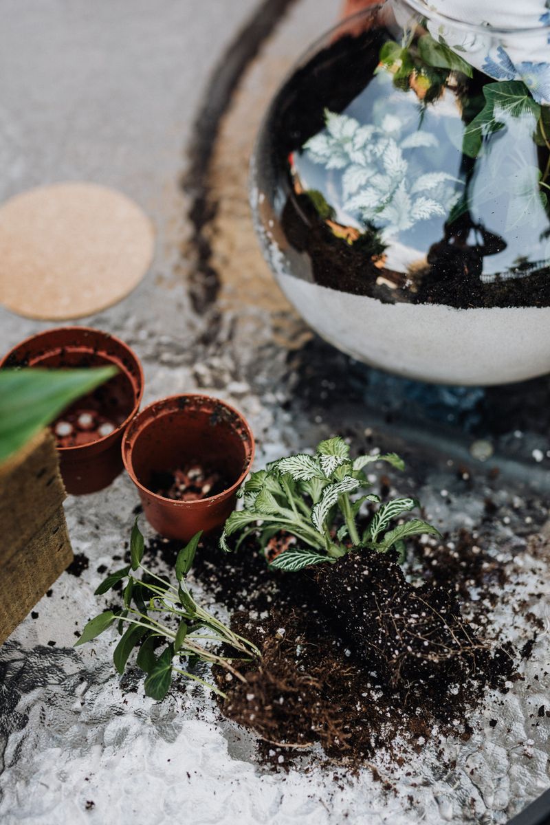 Dense Potting Soil Can Clog The Glass Globe Stem